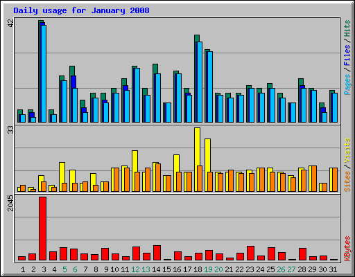 Daily usage for January 2008