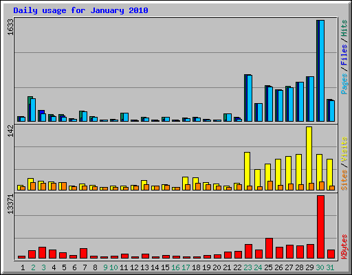 Daily usage for January 2010