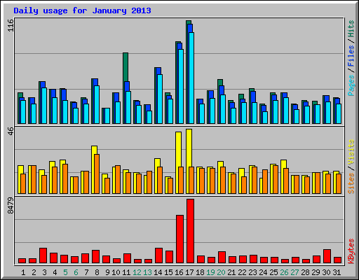 Daily usage for January 2013