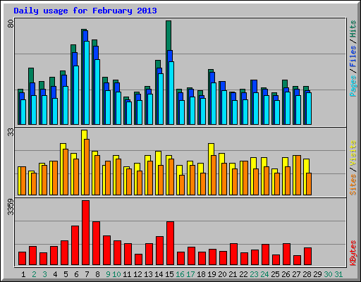 Daily usage for February 2013