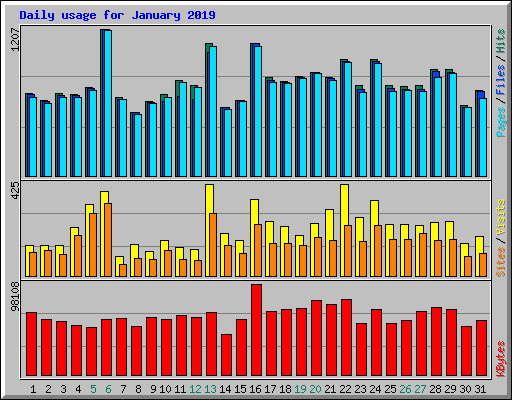 Daily usage for January 2019