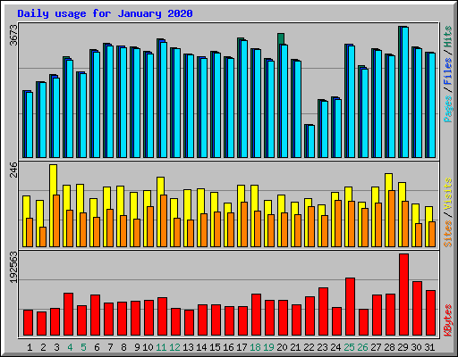 Daily usage for January 2020