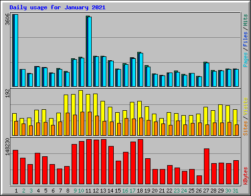 Daily usage for January 2021