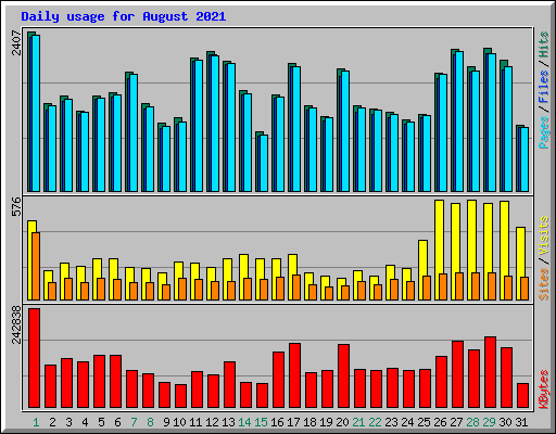 Daily usage for August 2021