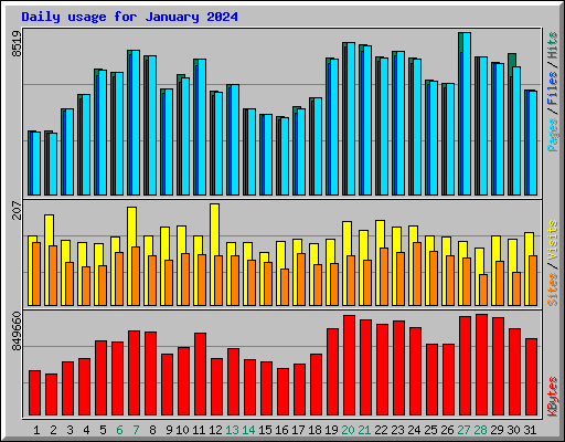 Daily usage for January 2024