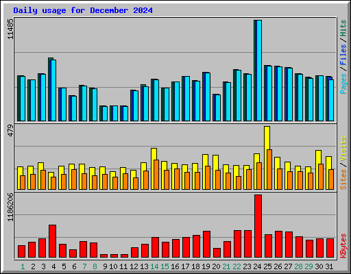 Daily usage for December 2024
