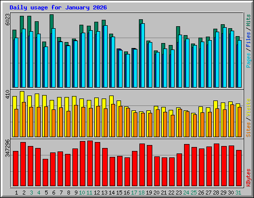 Daily usage for January 2026
