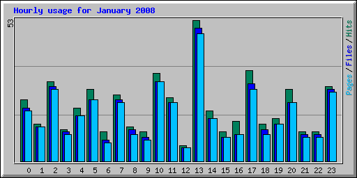 Hourly usage for January 2008