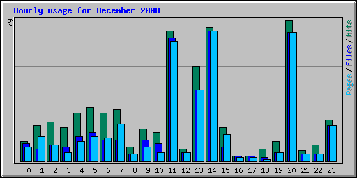 Hourly usage for December 2008