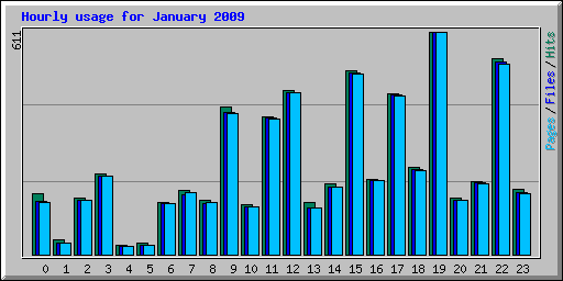 Hourly usage for January 2009