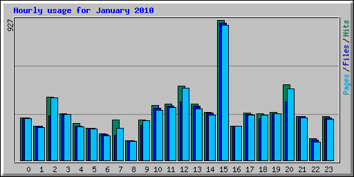 Hourly usage for January 2010