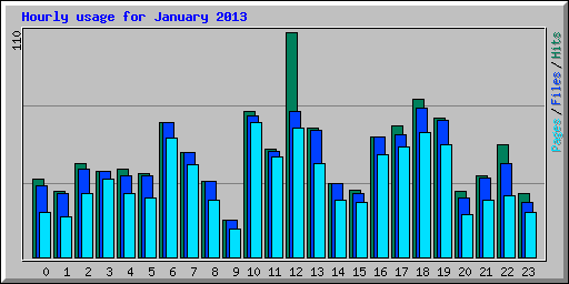 Hourly usage for January 2013