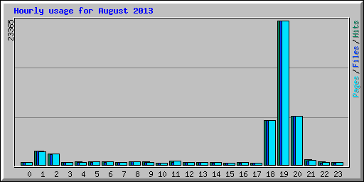 Hourly usage for August 2013