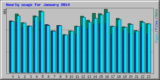Hourly usage for January 2014