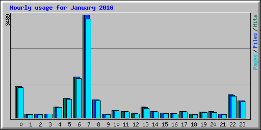 Hourly usage for January 2016
