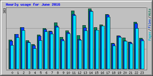 Hourly usage for June 2016