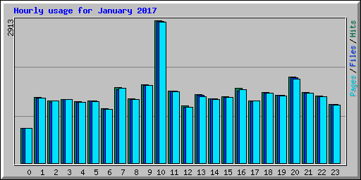 Hourly usage for January 2017