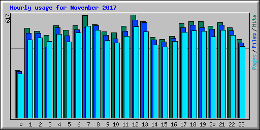 Hourly usage for November 2017