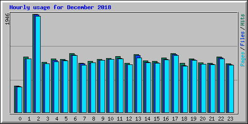Hourly usage for December 2018