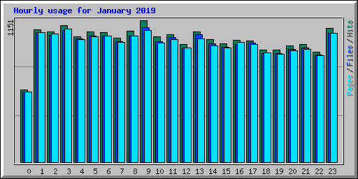 Hourly usage for January 2019