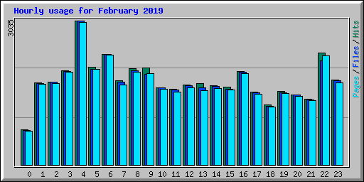 Hourly usage for February 2019
