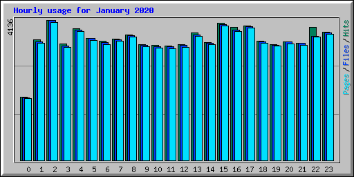 Hourly usage for January 2020