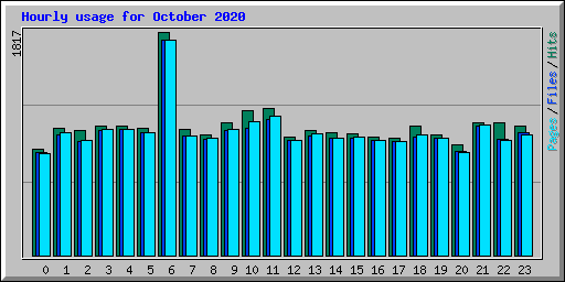 Hourly usage for October 2020