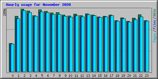 Hourly usage for November 2020