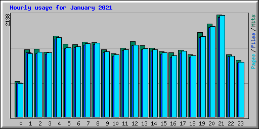 Hourly usage for January 2021