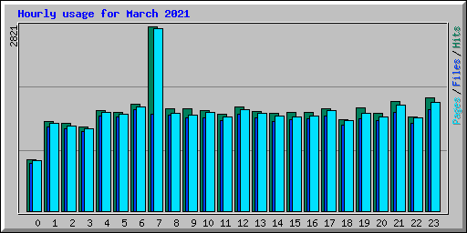Hourly usage for March 2021