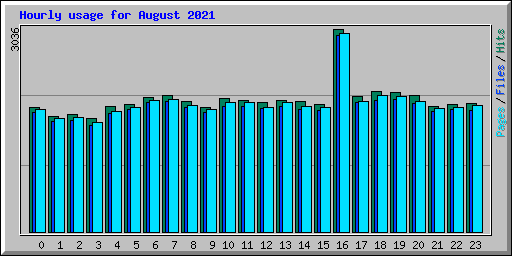 Hourly usage for August 2021