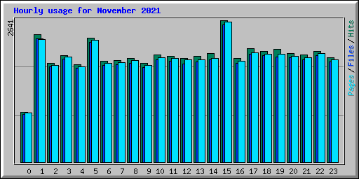 Hourly usage for November 2021