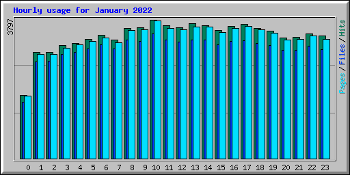 Hourly usage for January 2022