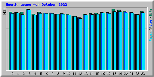 Hourly usage for October 2022