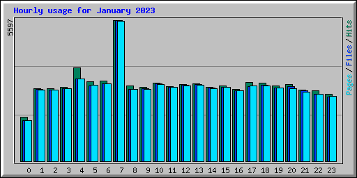 Hourly usage for January 2023