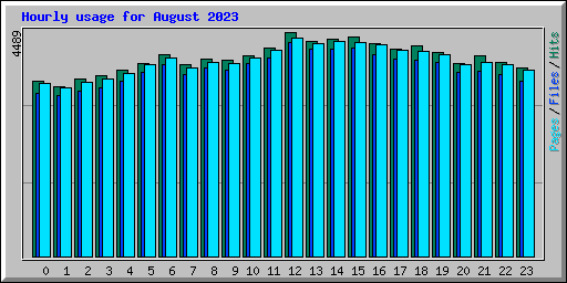 Hourly usage for August 2023