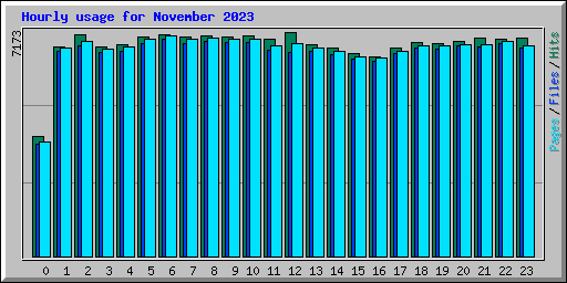 Hourly usage for November 2023