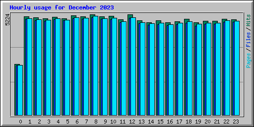 Hourly usage for December 2023