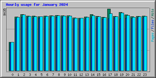 Hourly usage for January 2024