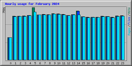 Hourly usage for February 2024
