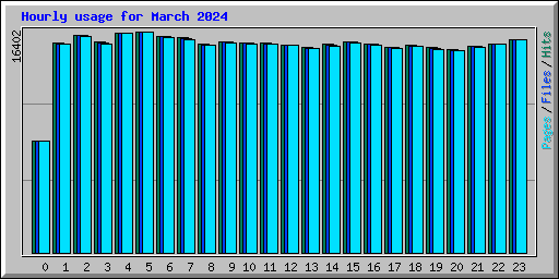 Hourly usage for March 2024