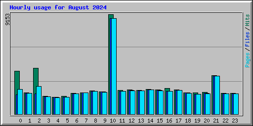 Hourly usage for August 2024