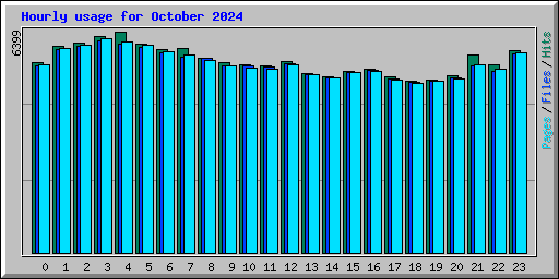Hourly usage for October 2024
