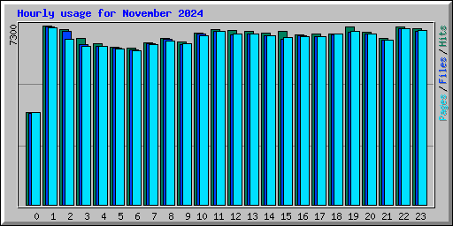 Hourly usage for November 2024