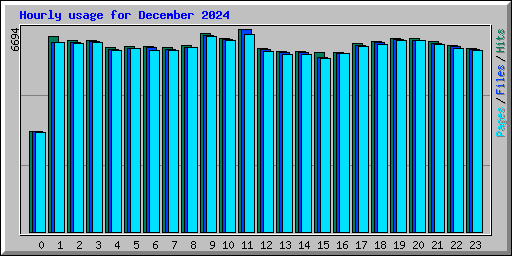 Hourly usage for December 2024