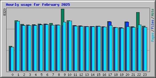Hourly usage for February 2025