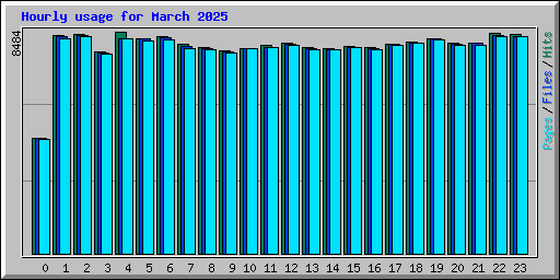 Hourly usage for March 2025