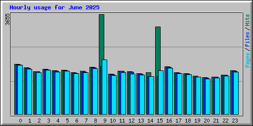 Hourly usage for June 2025