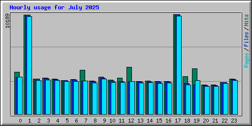 Hourly usage for July 2025