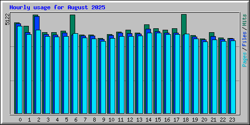 Hourly usage for August 2025